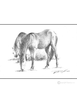 CHEVAUX Dessin au stylo sur toile moderne Made in Italy 